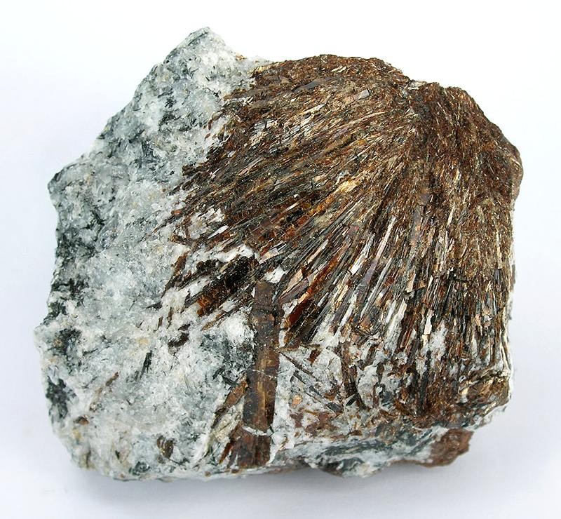 Astrofilita