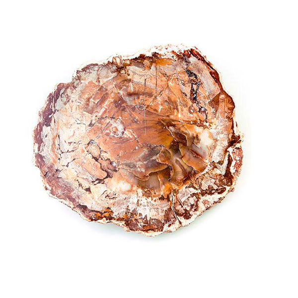 Xilopalo